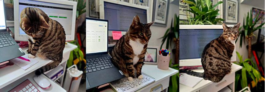 Ralph likes to make WFH a little difficult... Including moving my second screen for more sitting room